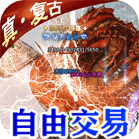龙城决vk22